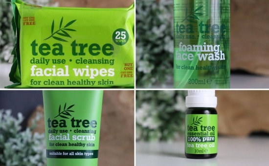 12 tea tree