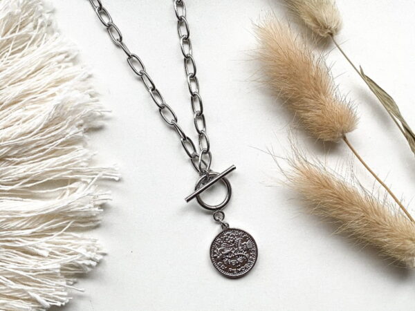 IMG_2087_jpg-1 CHUNKY COIN NECKLACE