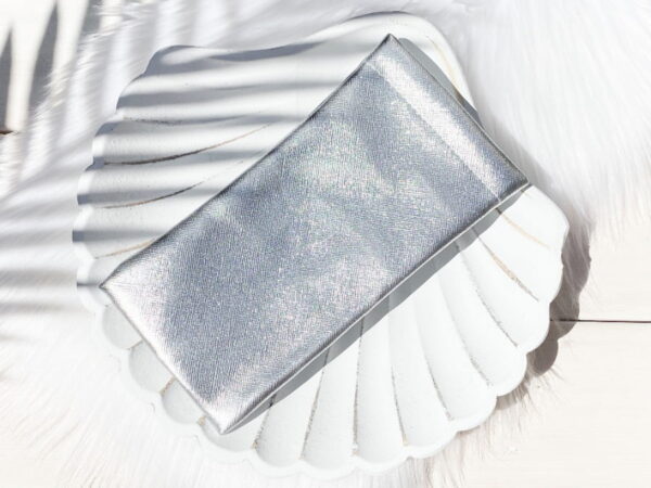SHINY SILVER SUNGLASSES POUCH
